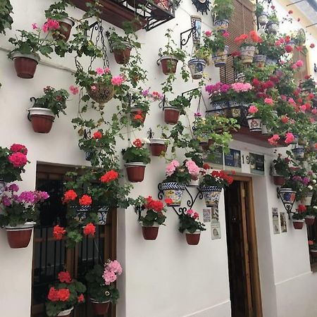 Apartamento El Rincon De La Verdad Kordoba Bagian luar foto