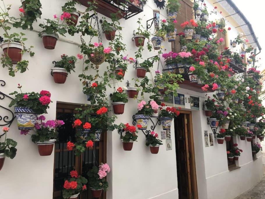 Apartamento El Rincon De La Verdad Kordoba Bagian luar foto
